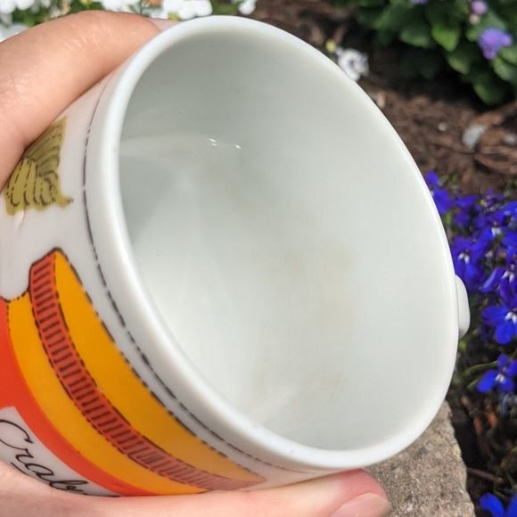 Vintage Jelly & Jam Ceramic Coffee Mugs Made in Japan Rose Hip & Crabapple Jelly - Picture 5 of 10